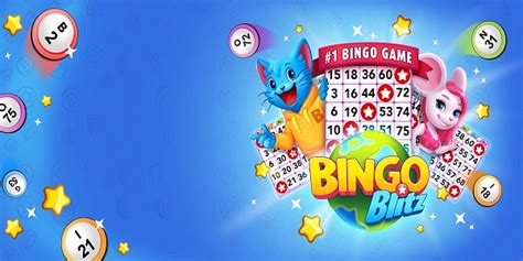 bingo montana triche